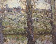 Vincent Van Gogh Orchard in Blossom with View of Arles (nn04) USA oil painting artist